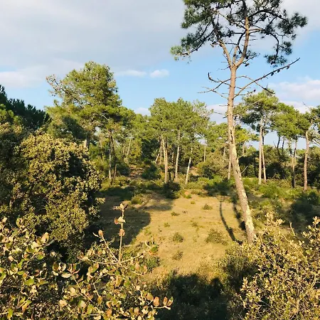 Maison Victoria, Piscine & Foret Feriehus *